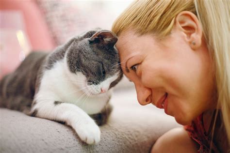 家を買う 絶対に知っておきたい 三 つの 注意点 ～そして、なぜ猫は家選びに重要なのか？～