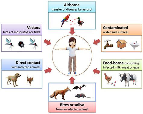 人間の風邪 犬にうつる：ペットと人間の健康の境界線